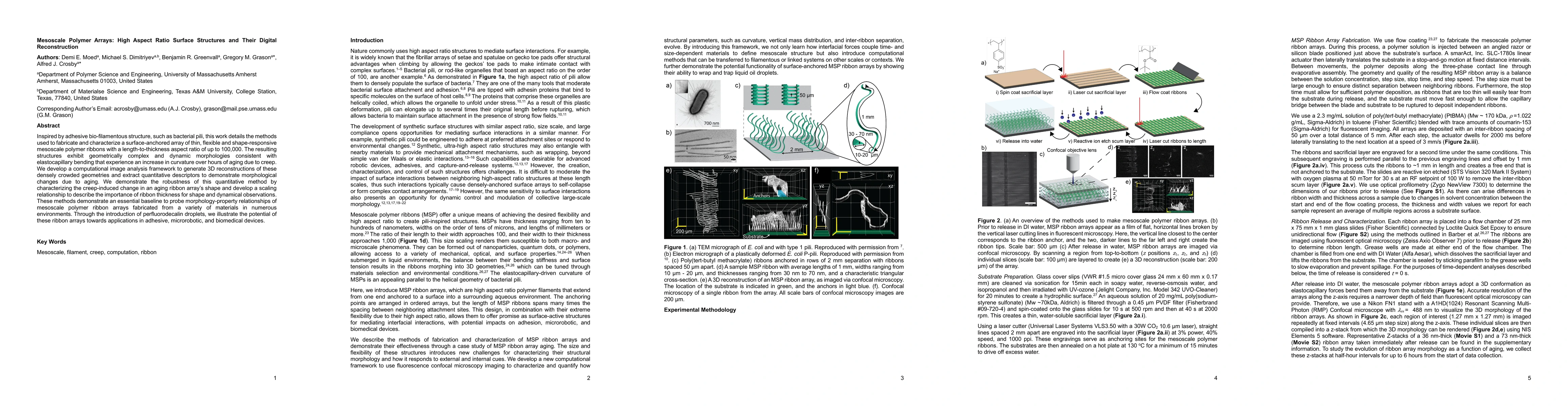 Thumbnail for Mesoscale Polymer Arrays: High Aspect Ratio Surface Structures and Their
  Digital Reconstruction