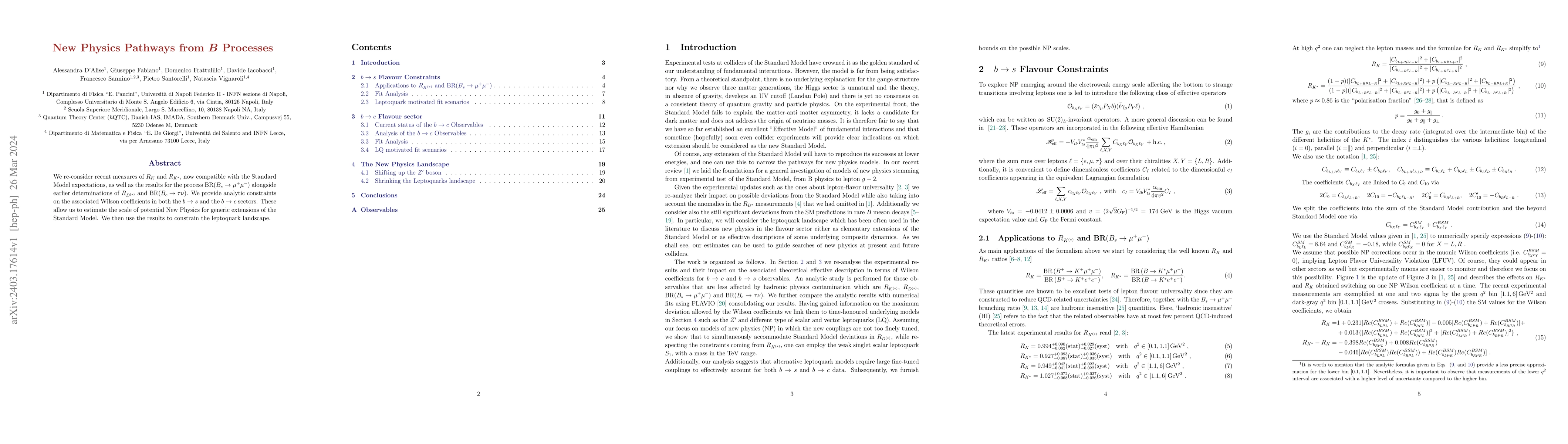 Thumbnail for New Physics Pathways from B Processes