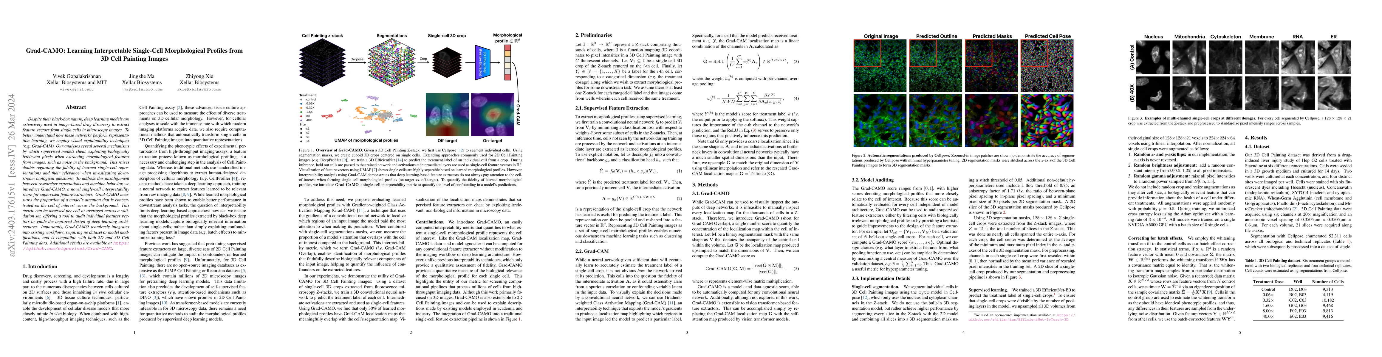 Thumbnail for Grad-CAMO: Learning Interpretable Single-Cell Morphological Profiles
  from 3D Cell Painting Images