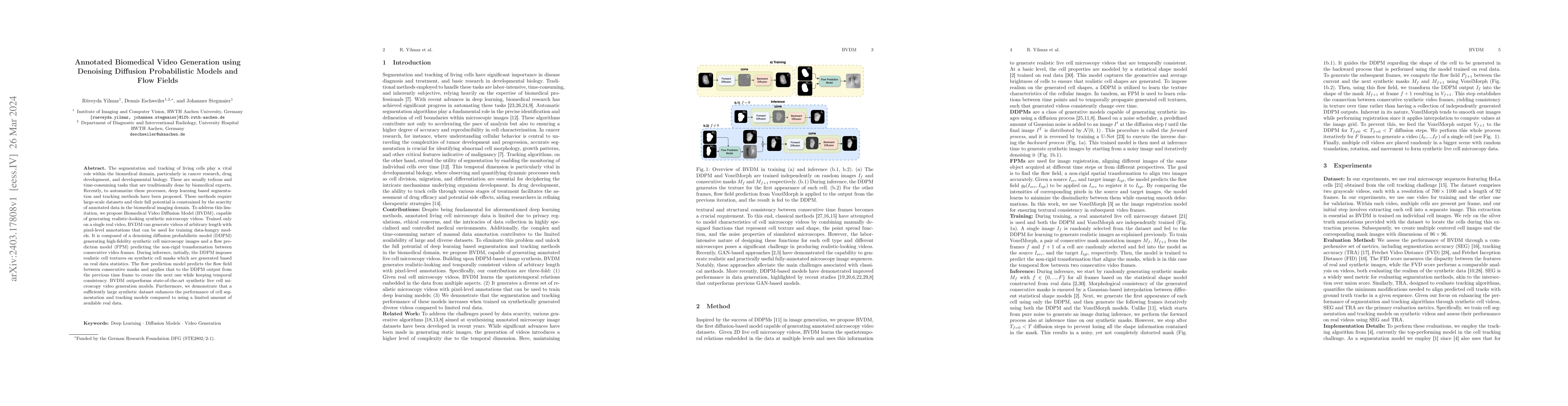 Thumbnail for Annotated Biomedical Video Generation using Denoising Diffusion
  Probabilistic Models and Flow Fields