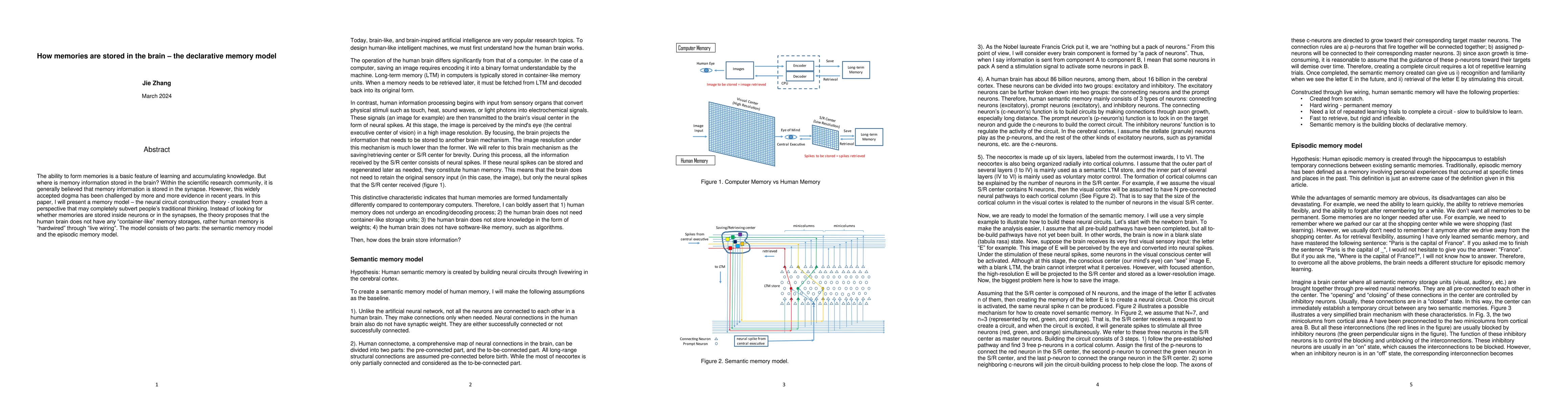 Thumbnail for How memories are stored in the brain: the declarative memory model