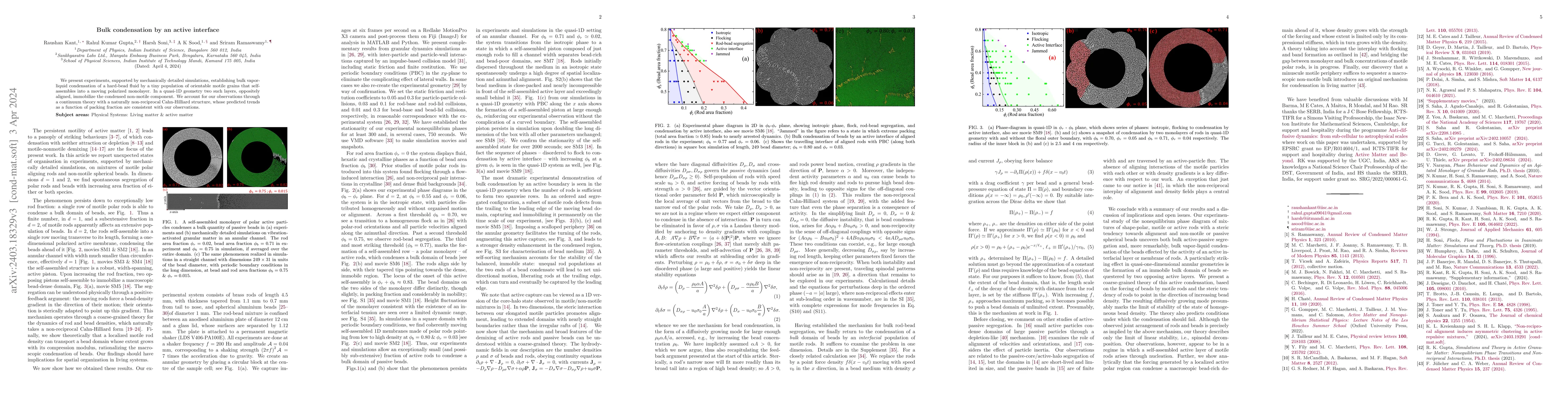 Thumbnail for Bulk condensation by an active interface