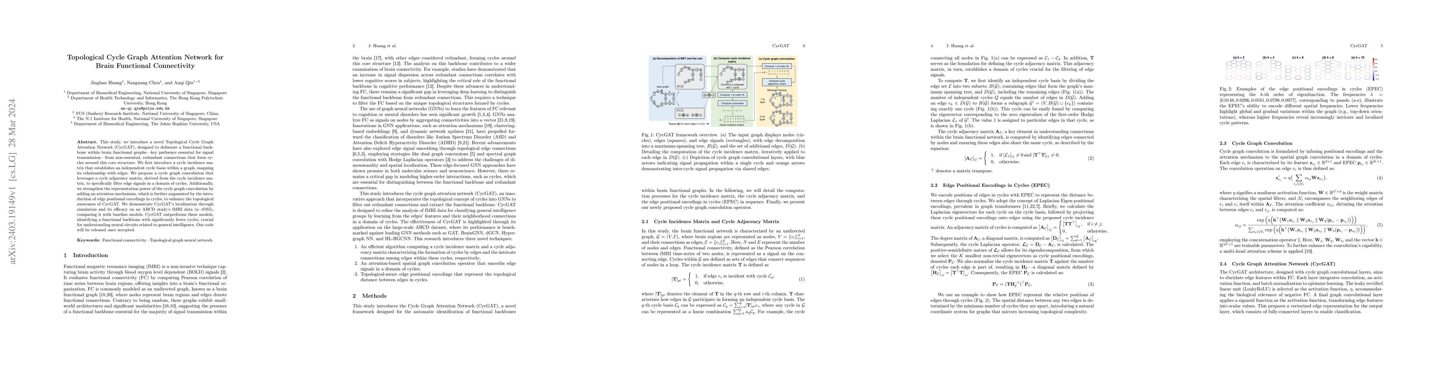 Thumbnail for Topological Cycle Graph Attention Network for Brain Functional
  Connectivity