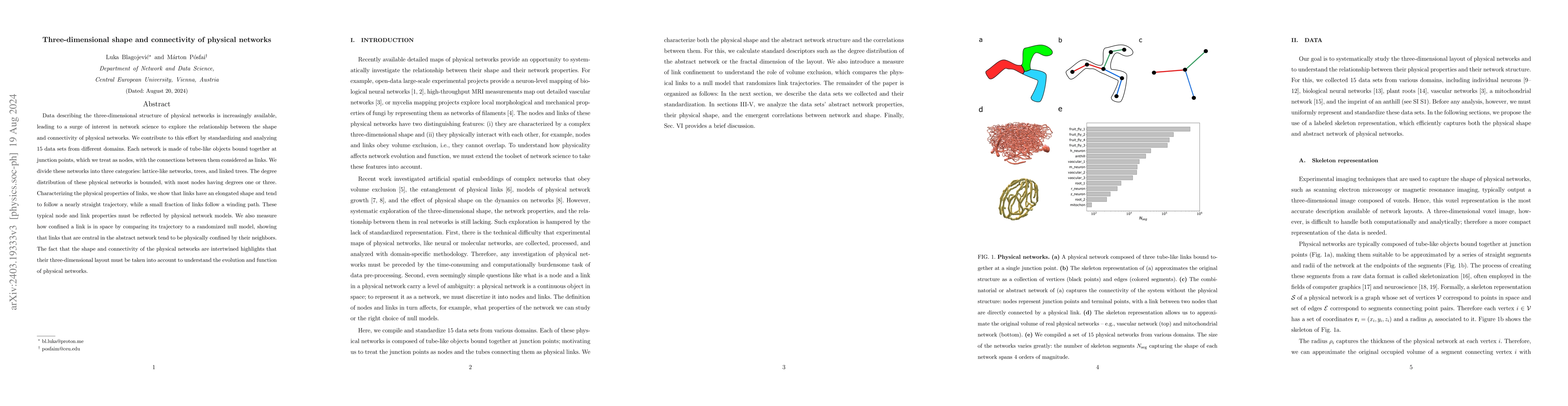 Thumbnail for Three-dimensional shape and connectivity of physical networks
