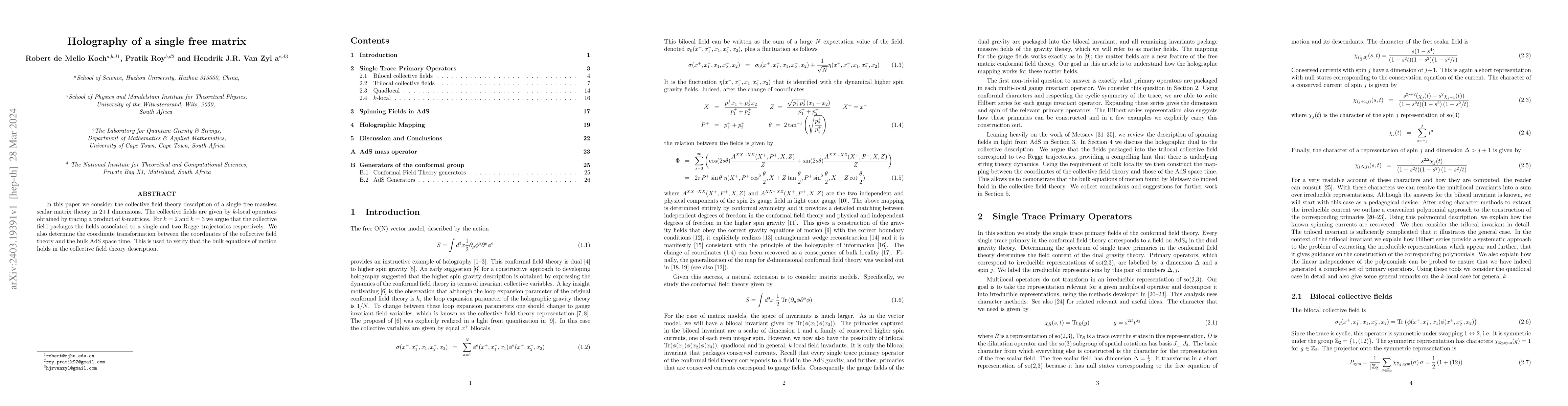 Thumbnail for Holography of a single free matrix