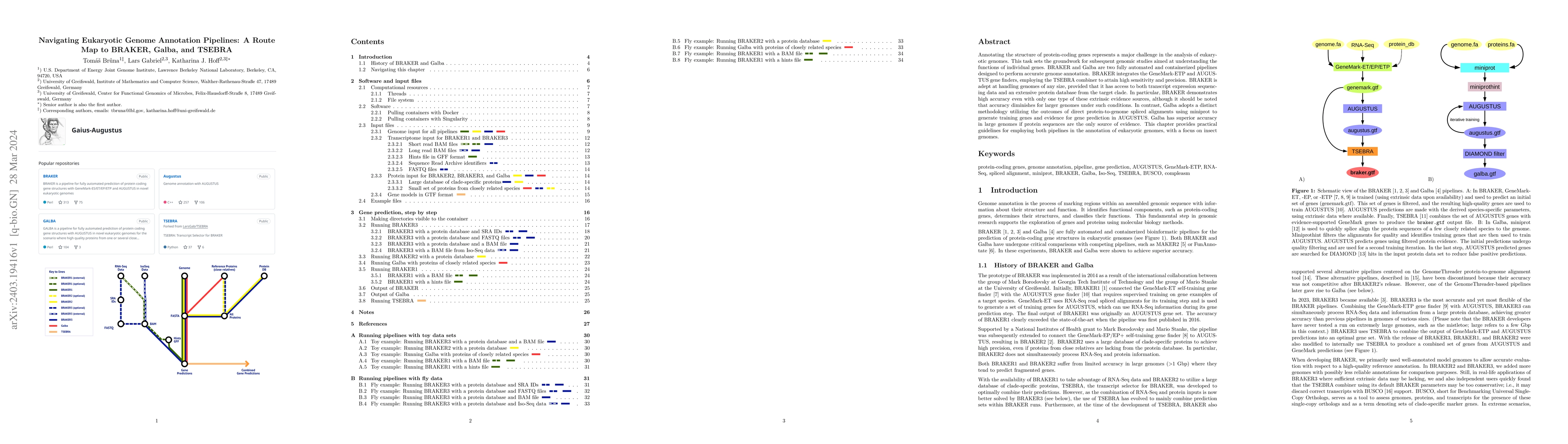 Thumbnail for Navigating Eukaryotic Genome Annotation Pipelines: A Route Map to
  BRAKER, Galba, and TSEBRA