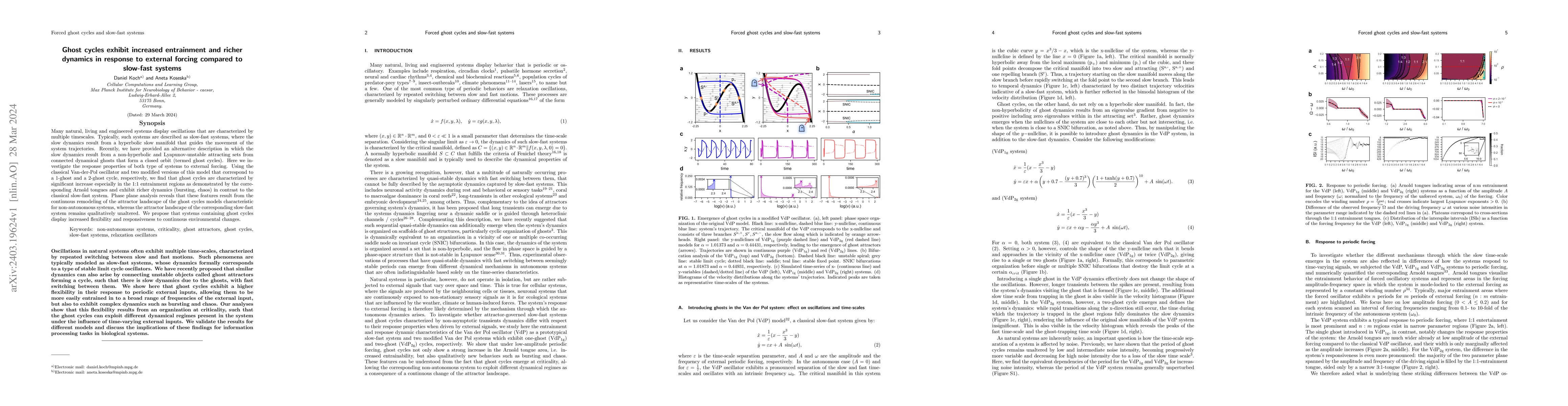 Thumbnail for Ghost cycles exhibit increased entrainment and richer dynamics in
  response to external forcing compared to slow-fast systems