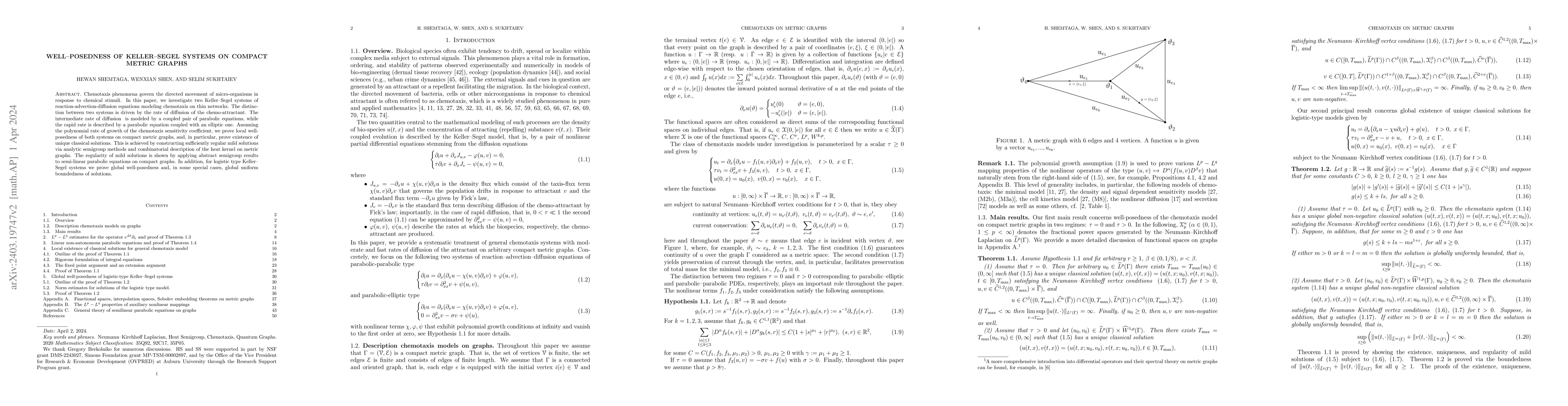 Thumbnail for Well-posedness of Keller-Segel systems on compact metric graphs