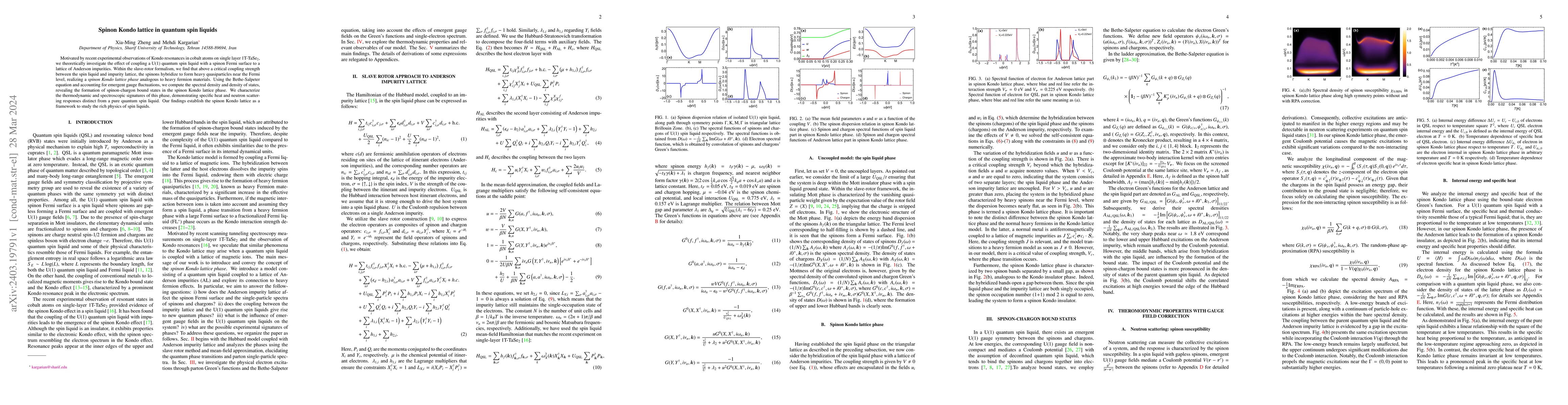 Thumbnail for Spinon Kondo lattice in quantum spin liquids