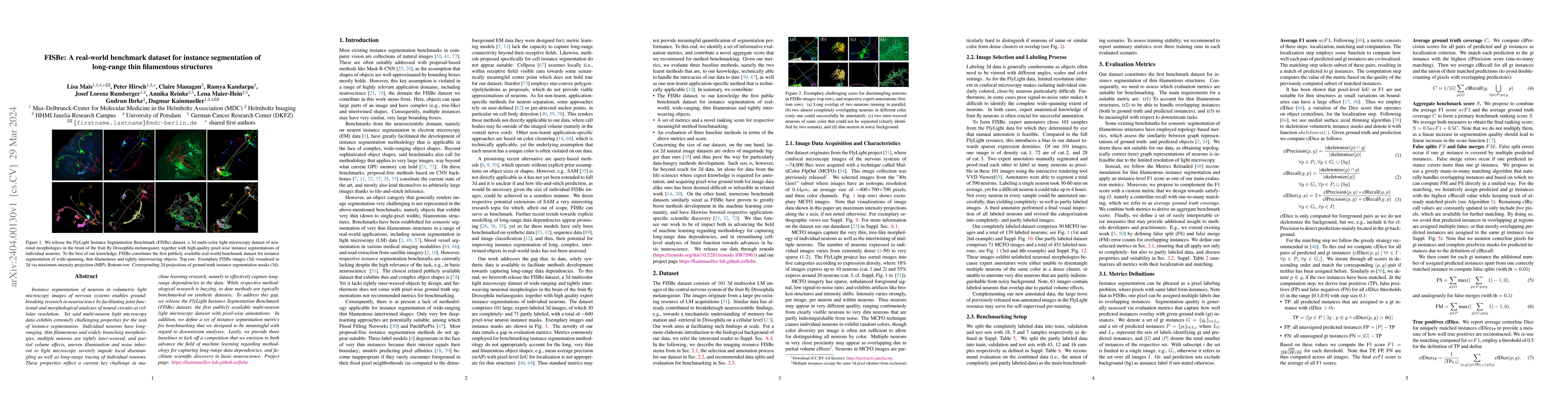Thumbnail for FISBe: A real-world benchmark dataset for instance segmentation of
  long-range thin filamentous structures