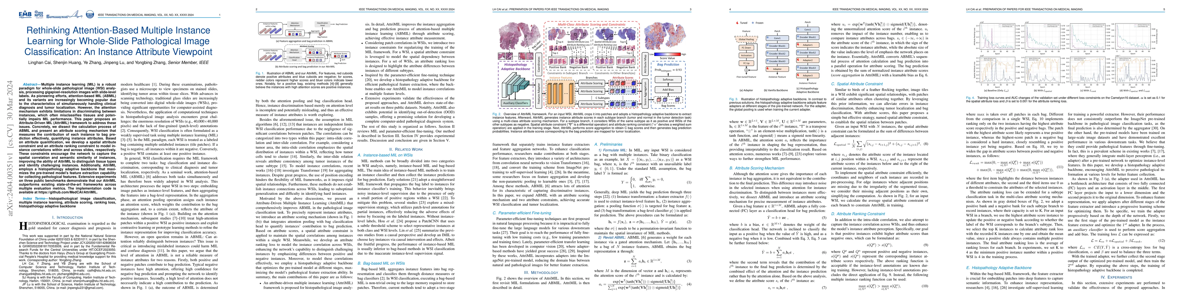 Thumbnail for Rethinking Attention-Based Multiple Instance Learning for Whole-Slide
  Pathological Image Classification: An Instance Attribute Viewpoint