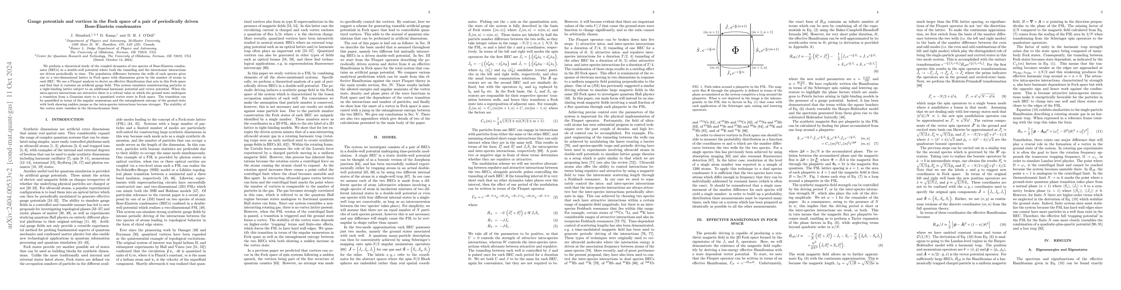 Thumbnail for Gauge potentials and vortices in the Fock space of a pair of
  periodically driven Bose-Einstein condensates