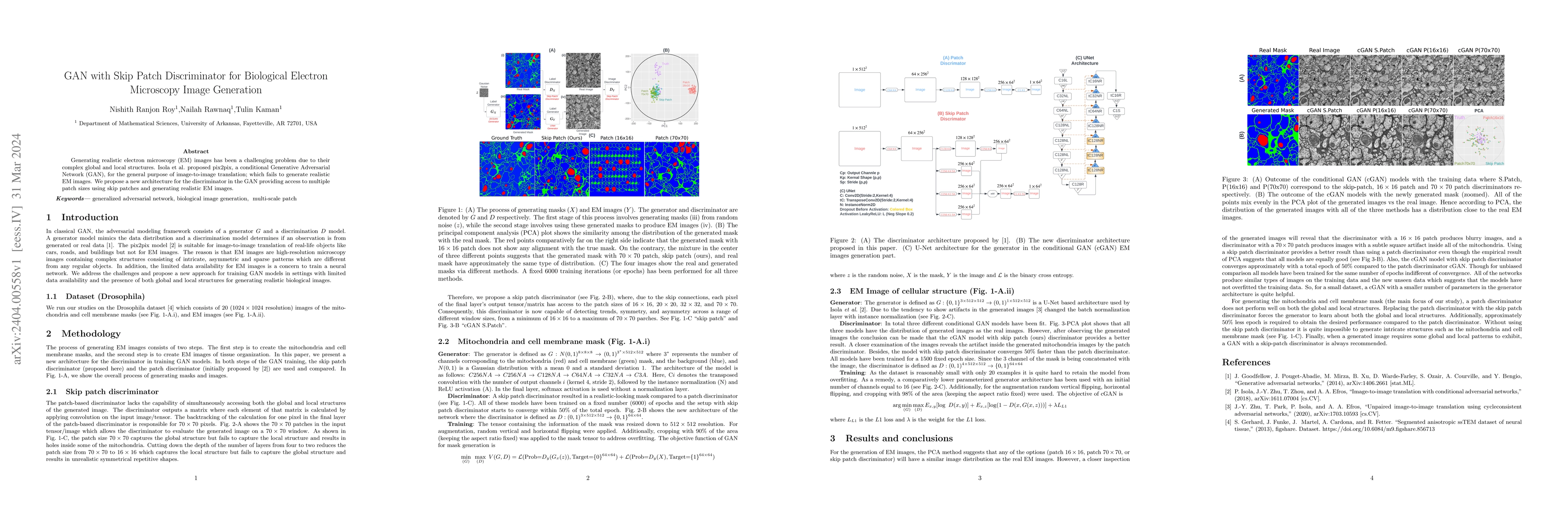 Thumbnail for GAN with Skip Patch Discriminator for Biological Electron Microscopy
  Image Generation
