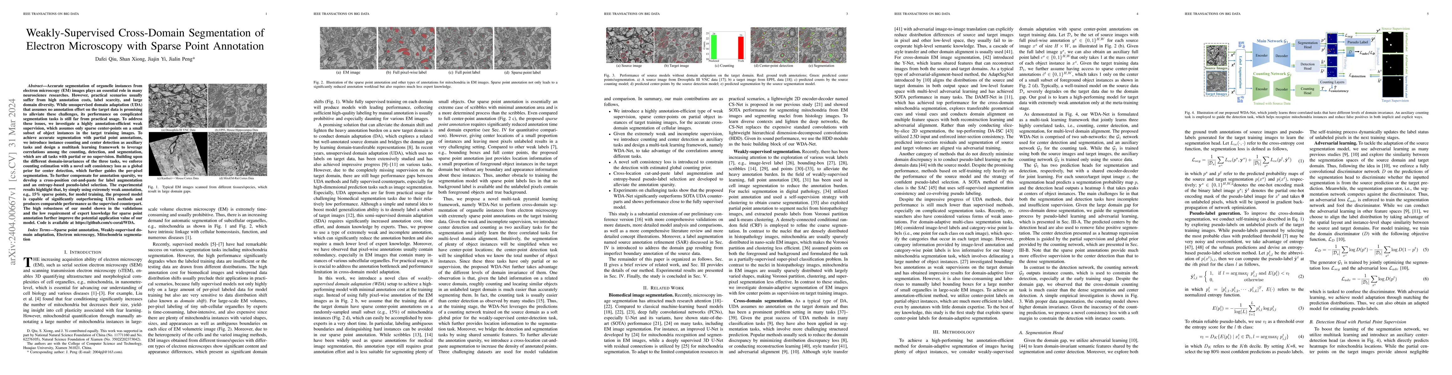Thumbnail for Weakly-Supervised Cross-Domain Segmentation of Electron Microscopy with
  Sparse Point Annotation