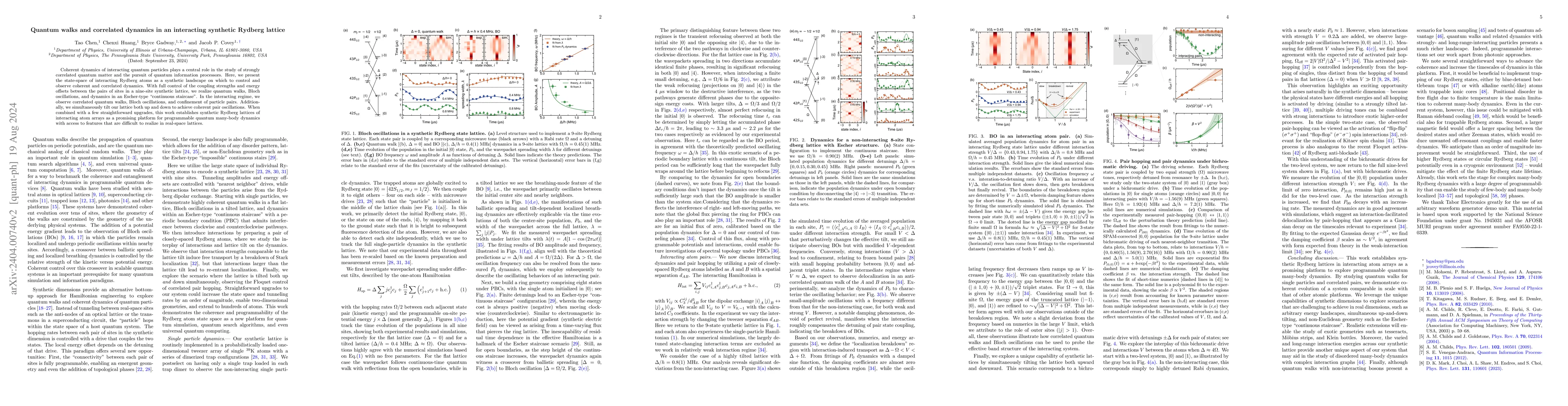 Thumbnail for Quantum walks and correlated dynamics in an interacting synthetic
  Rydberg lattice