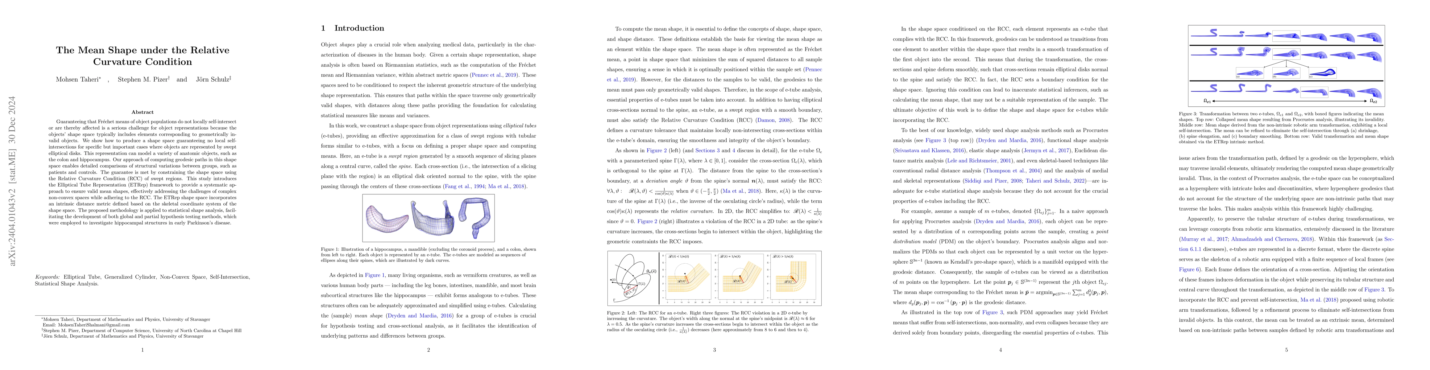 Thumbnail for The Mean Shape under the Relative Curvature Condition