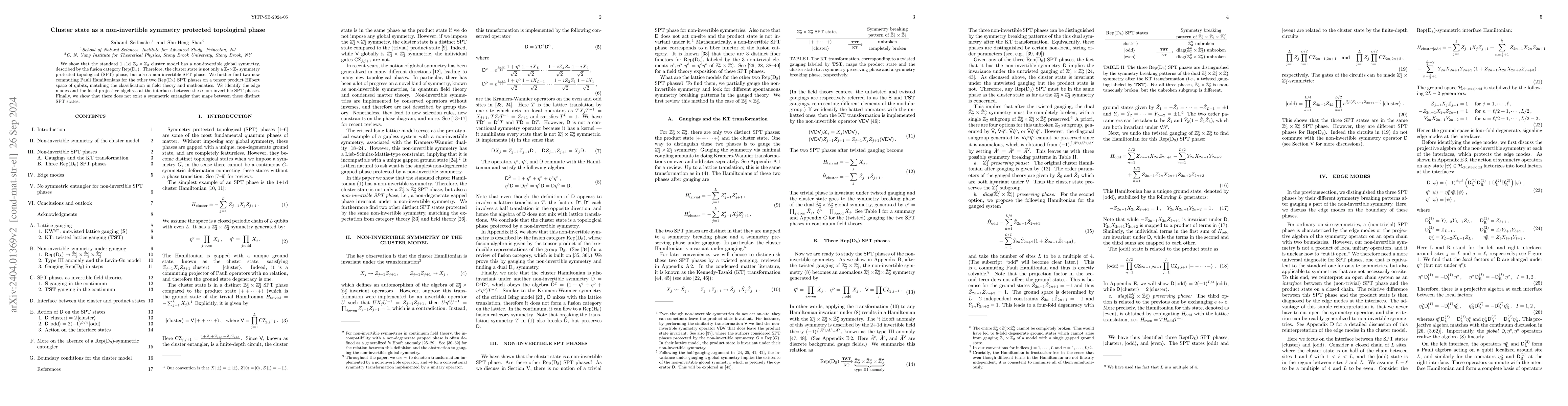 Thumbnail for Cluster state as a non-invertible symmetry protected topological phase