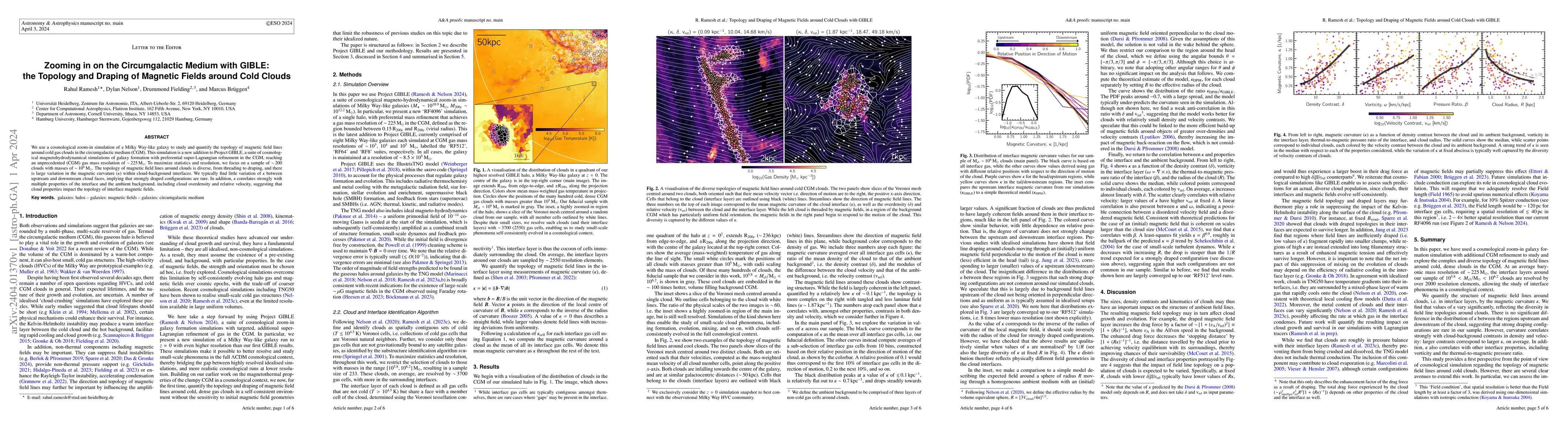 Thumbnail for Zooming in on the Circumgalactic Medium with GIBLE: the Topology and
  Draping of Magnetic Fields around Cold Clouds