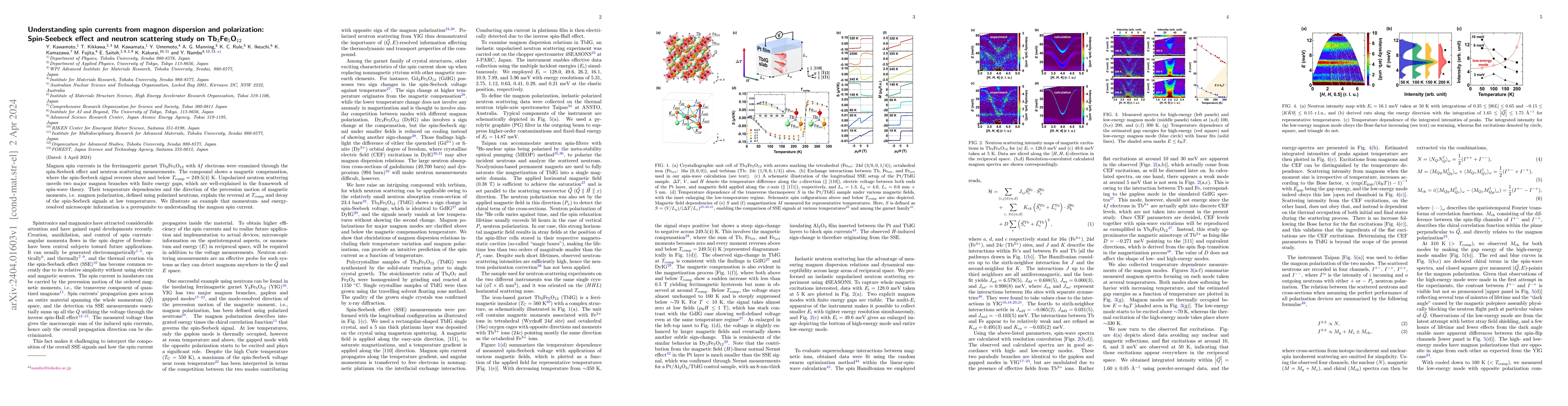 Thumbnail for Understanding spin currents from magnon dispersion and polarization:
  Spin-Seebeck effect and neutron scattering study on Tb3Fe5O12