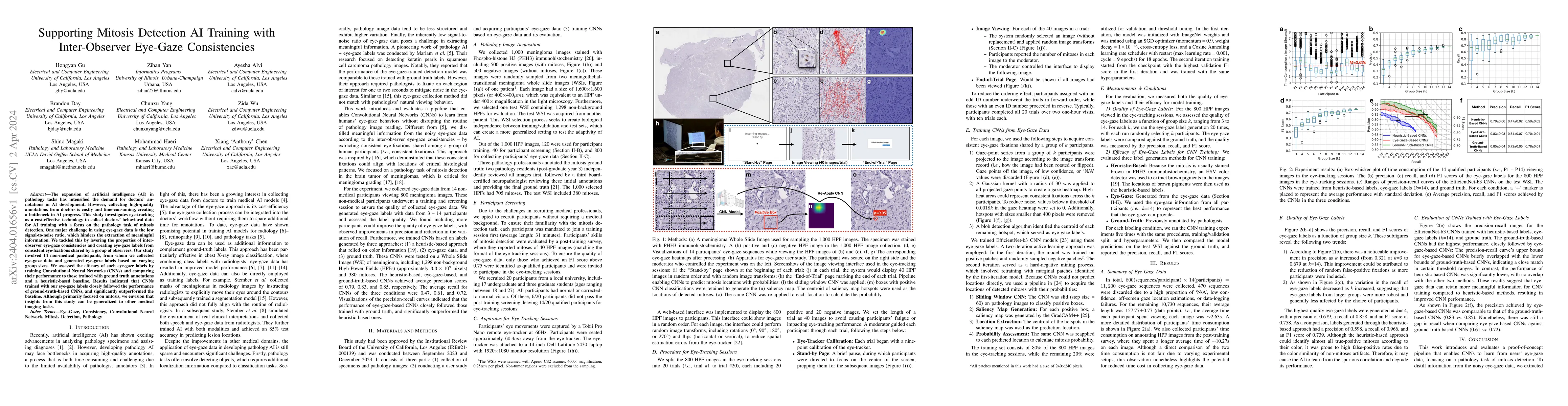 Thumbnail for Supporting Mitosis Detection AI Training with Inter-Observer Eye-Gaze
  Consistencies