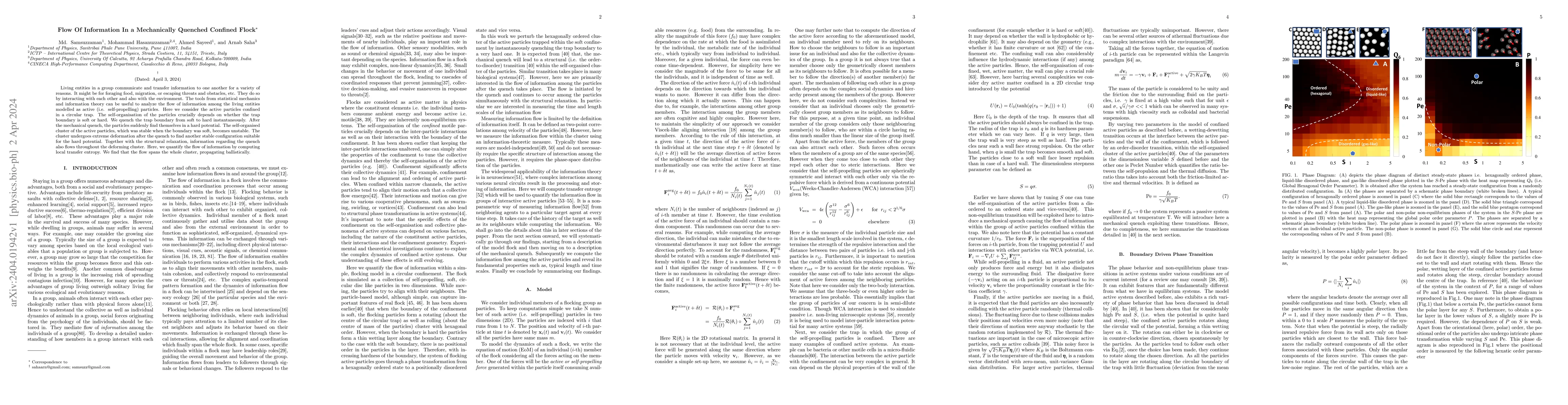 Thumbnail for Flow Of Information In a Mechanically Quenched Confined Flock