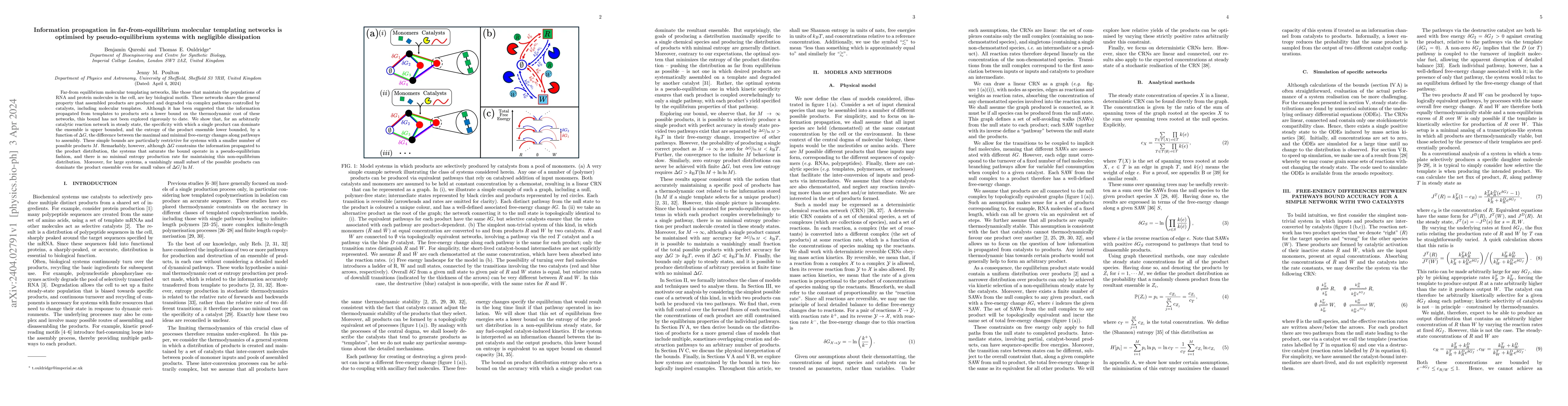 Thumbnail for Information propagation in far-from-equilibrium molecular templating
  networks is optimised by pseudo-equilibrium systems with negligible
  dissipation