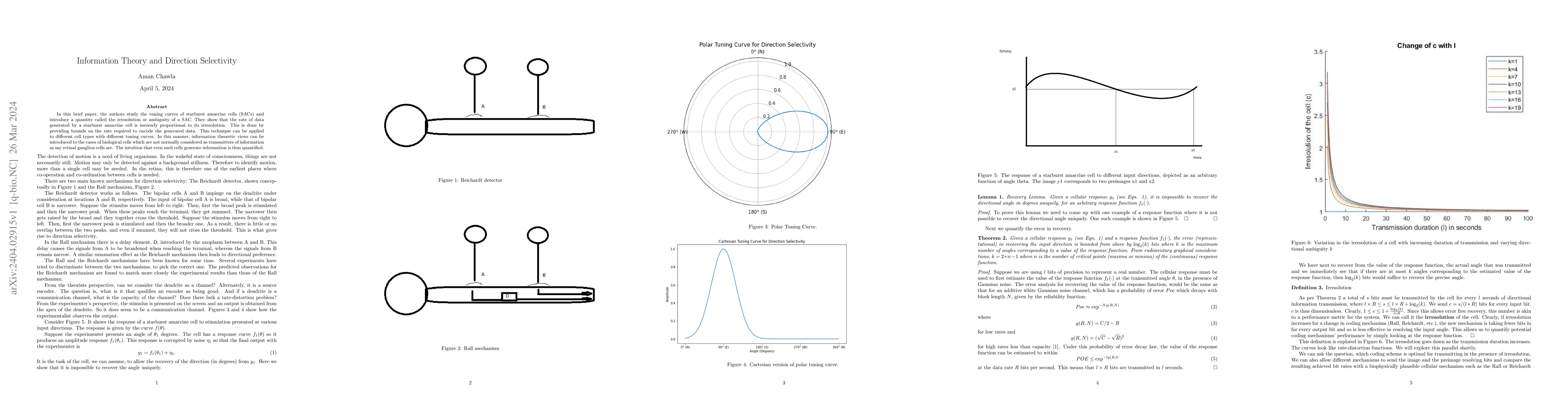 Thumbnail for Information Theory and Direction Selectivity