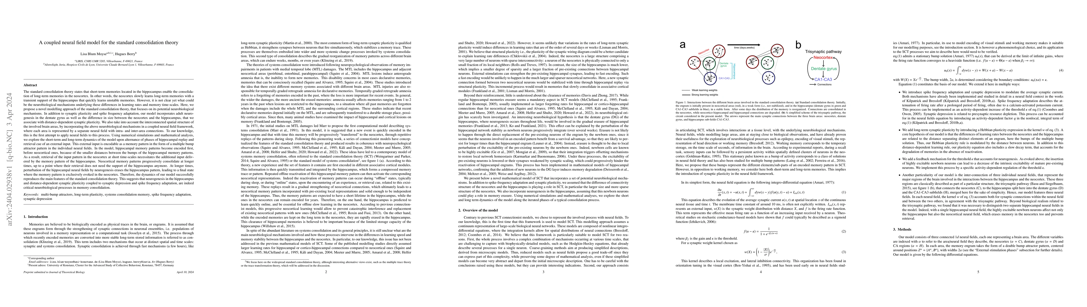 Thumbnail for A Coupled Neural Field Model for the Standard Consolidation Theory