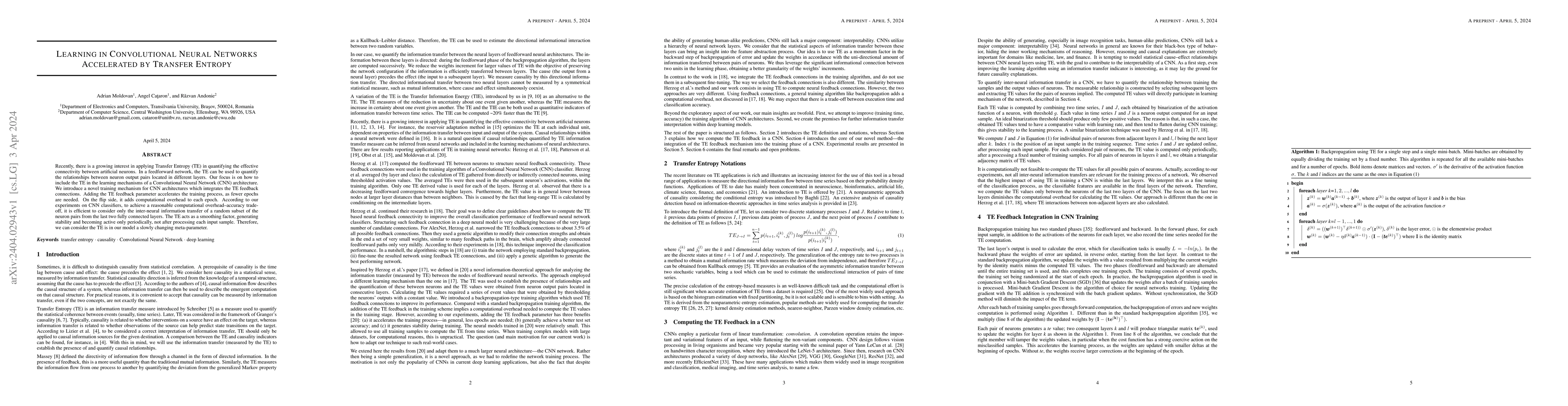 Thumbnail for Learning in Convolutional Neural Networks Accelerated by Transfer
  Entropy