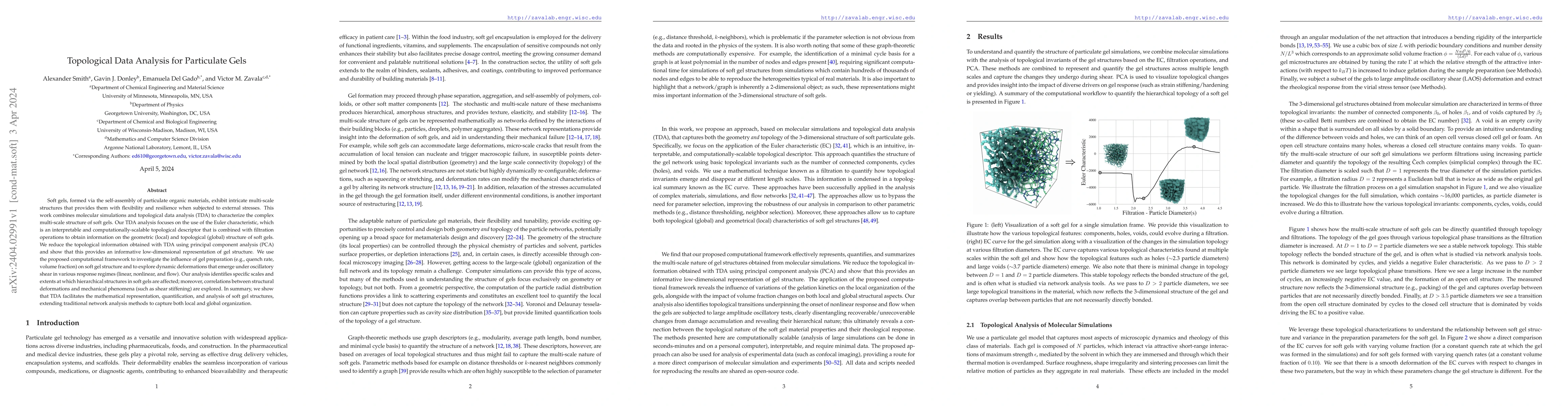 Thumbnail for Topological Data Analysis for Particulate Gels