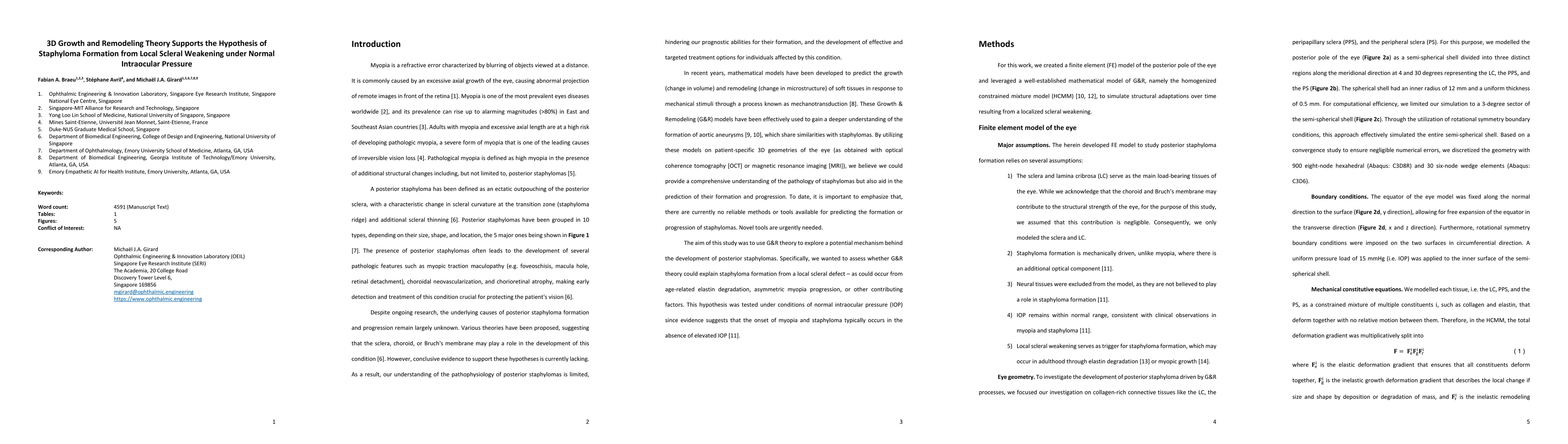 Thumbnail for 3D Growth and Remodeling Theory Supports the Hypothesis of Staphyloma
  Formation from Local Scleral Weakening under Normal Intraocular Pressure