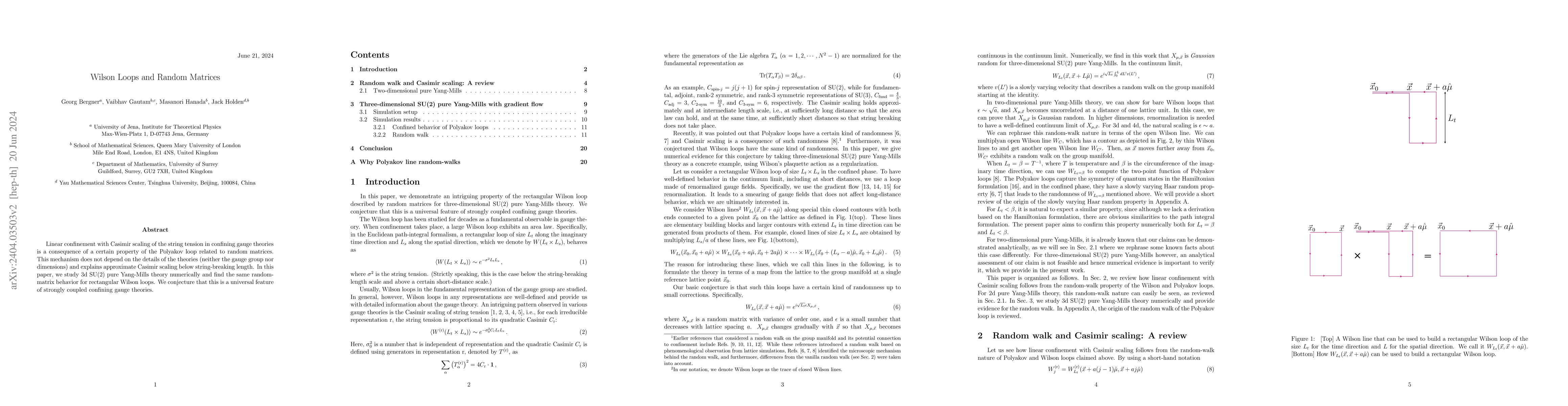 Thumbnail for Wilson Loops and Random Matrices