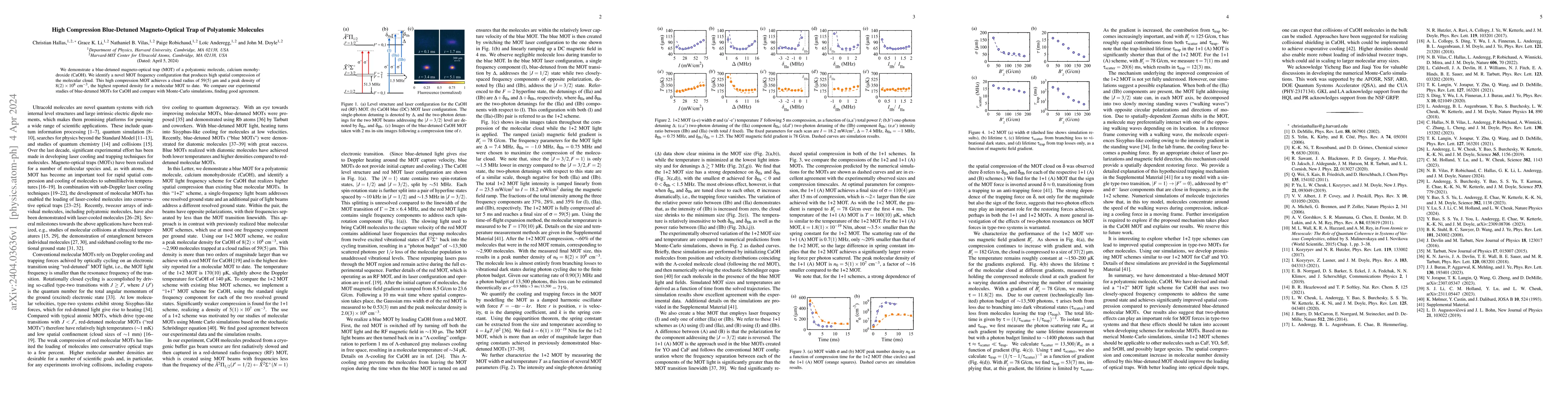 Thumbnail for High Compression Blue-Detuned Magneto-Optical Trap of Polyatomic
  Molecules