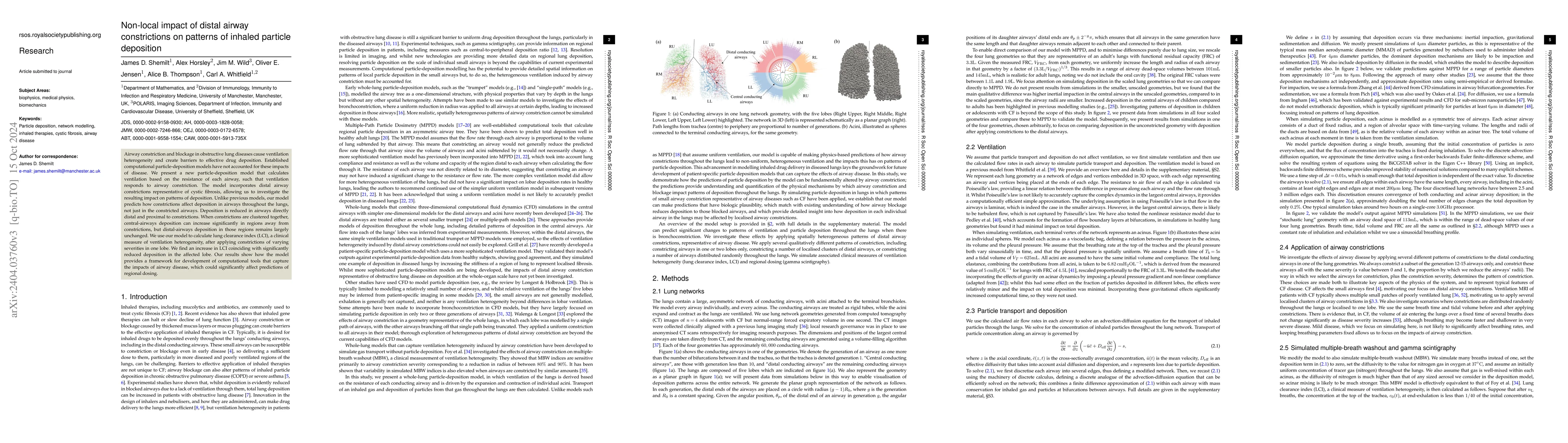 Thumbnail for Non-local impacts of distal airway constrictions on patterns of inhaled
  particle deposition