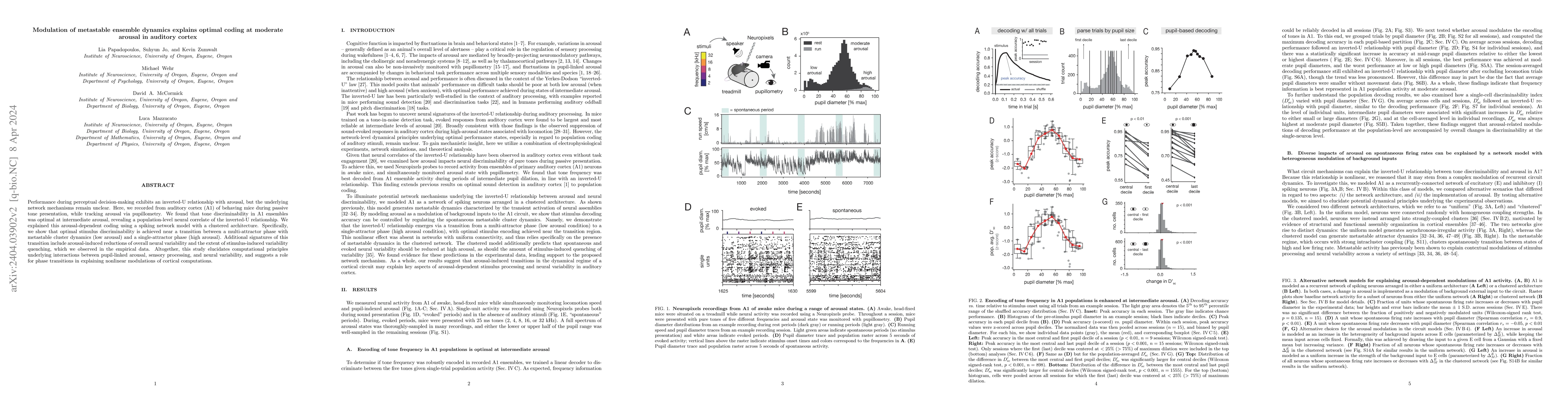 Thumbnail for Modulation of metastable ensemble dynamics explains optimal coding at
  moderate arousal in auditory cortex