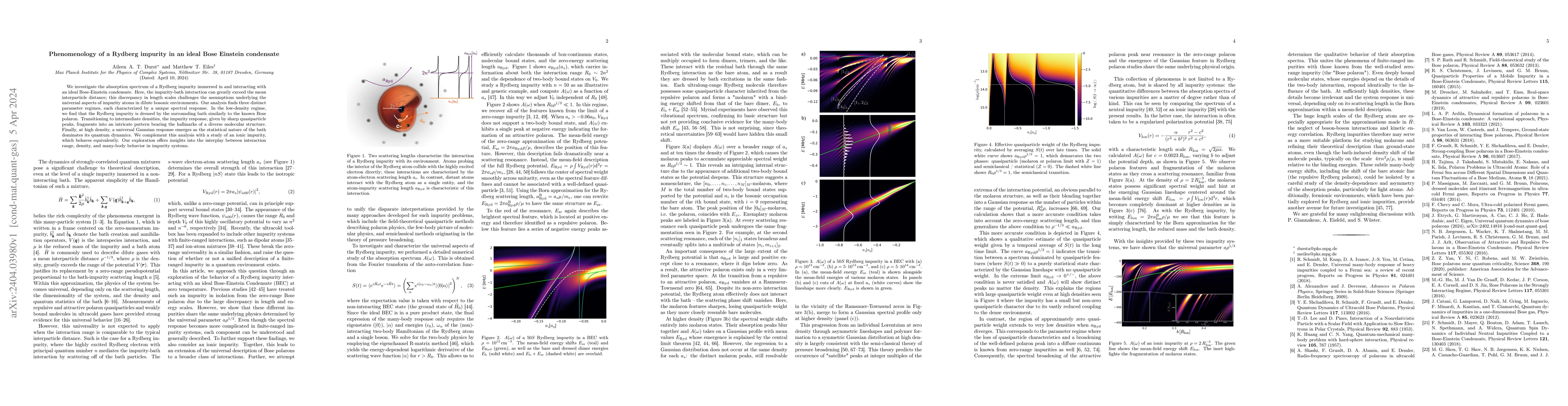 Thumbnail for Phenomenology of a Rydberg impurity in an ideal Bose Einstein condensate
