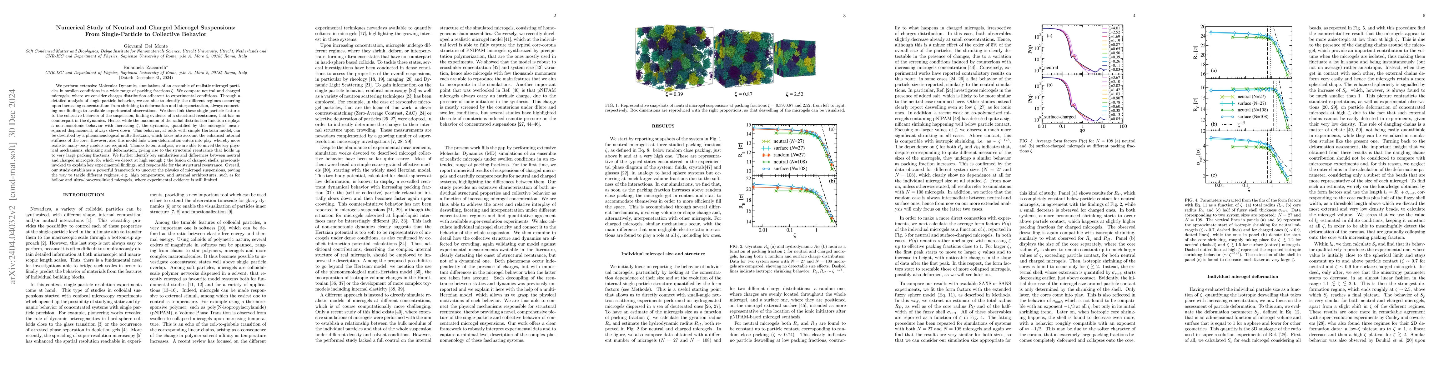 Thumbnail for Numerical study of neutral and charged microgel suspensions: from
  single-particle to collective behavior