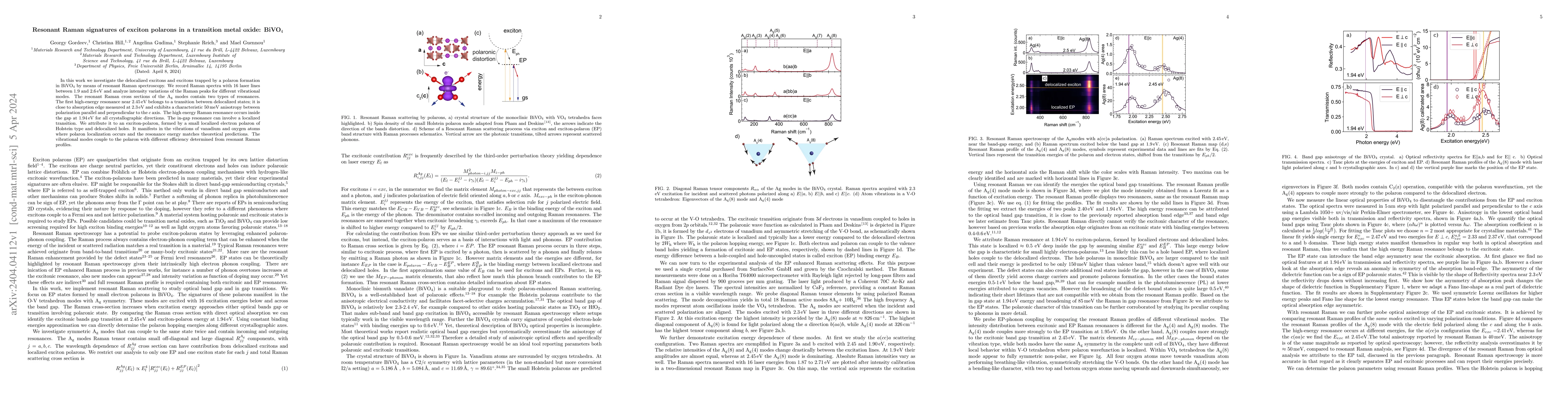 Thumbnail for Resonant Raman signatures of exciton polarons in a transition metal
  oxide: BiVO$_4$