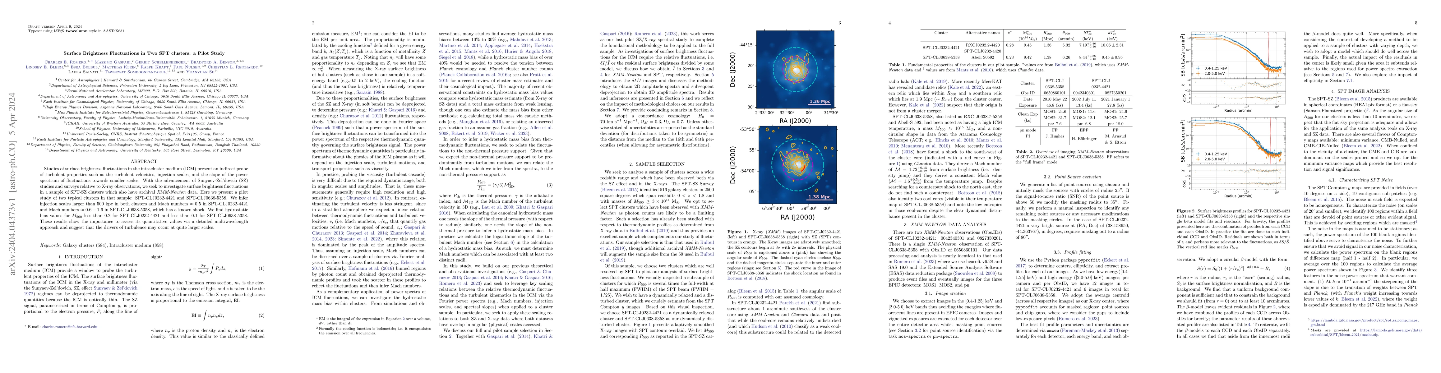 Thumbnail for Surface Brightness Fluctuations in Two SPT clusters: a Pilot Study