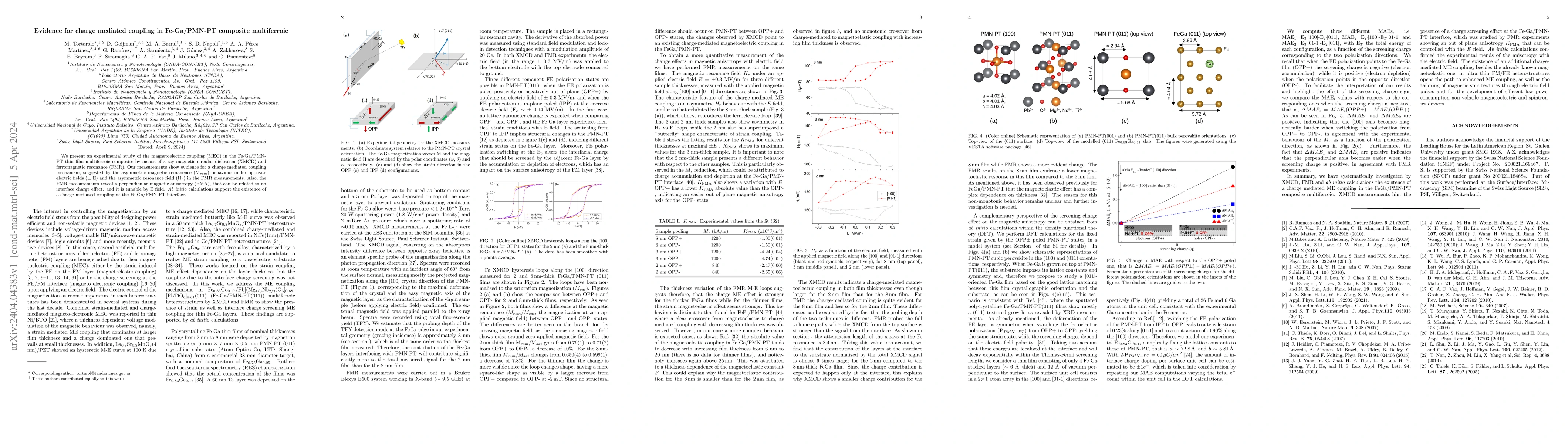 Thumbnail for Evidence for charge mediated coupling in Fe-Ga/PMN-PT composite
  multiferroic