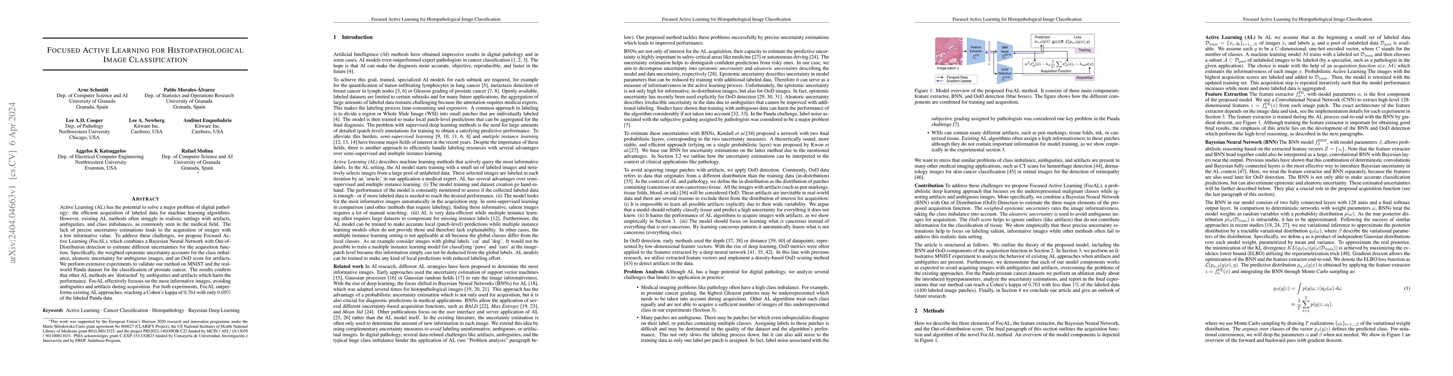 Thumbnail for Focused Active Learning for Histopathological Image Classification