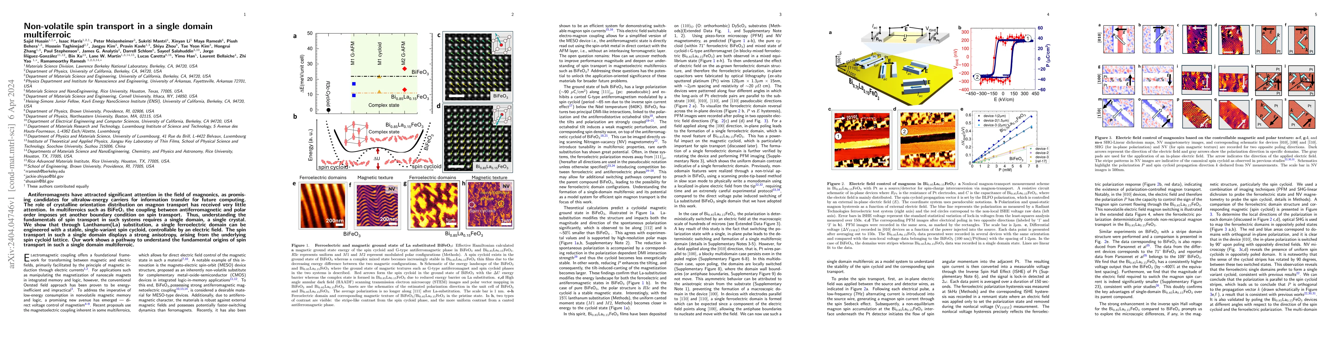 Thumbnail for Non-volatile spin transport in a single domain multiferroic