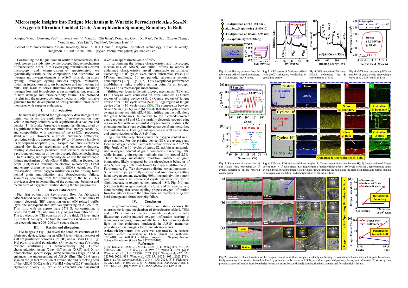 Thumbnail for Microscopic Insights into Fatigue Mechanism in Wurtzite Ferroelectric
  Al$_{0.65}$Sc$_{0.35}$N: Oxygen Infiltration Enabled Grain Amorphization
  Spanning Boundary to Bulk
