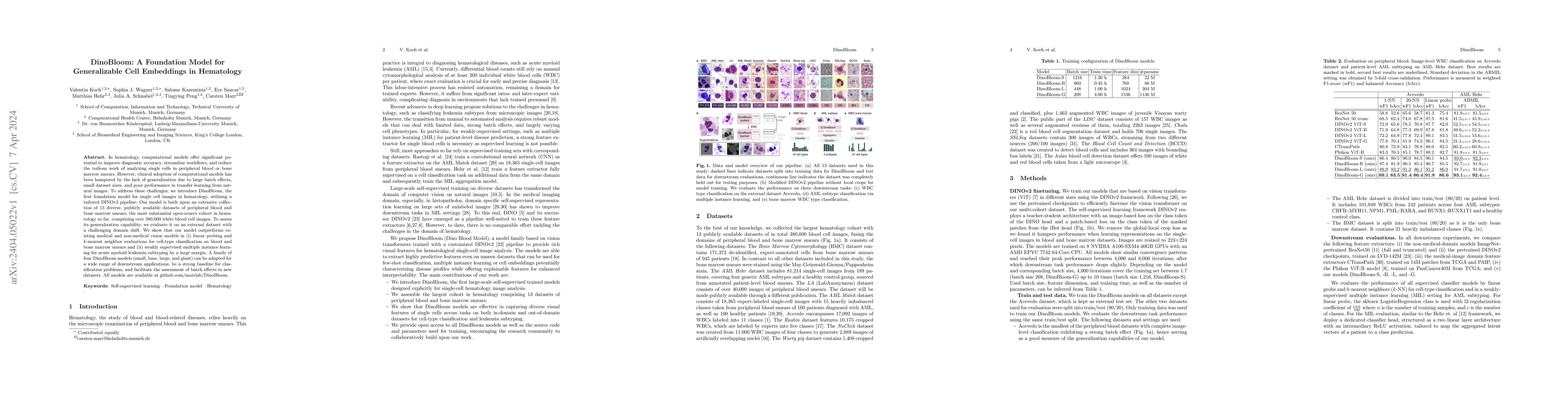 Thumbnail for DinoBloom: A Foundation Model for Generalizable Cell Embeddings in
  Hematology