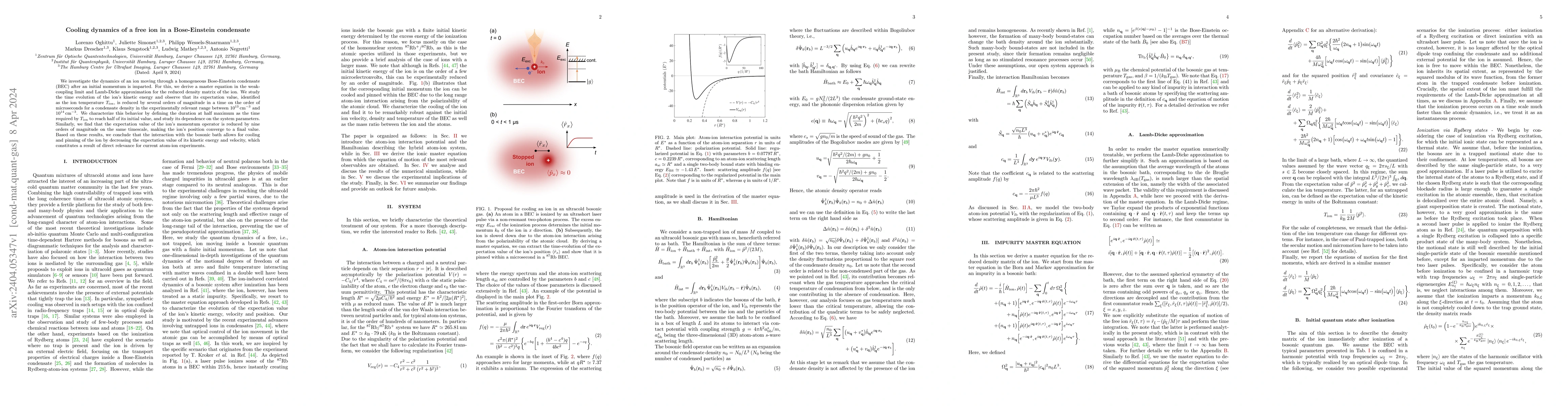 Thumbnail for Cooling dynamics of a free ion in a Bose-Einstein condensate