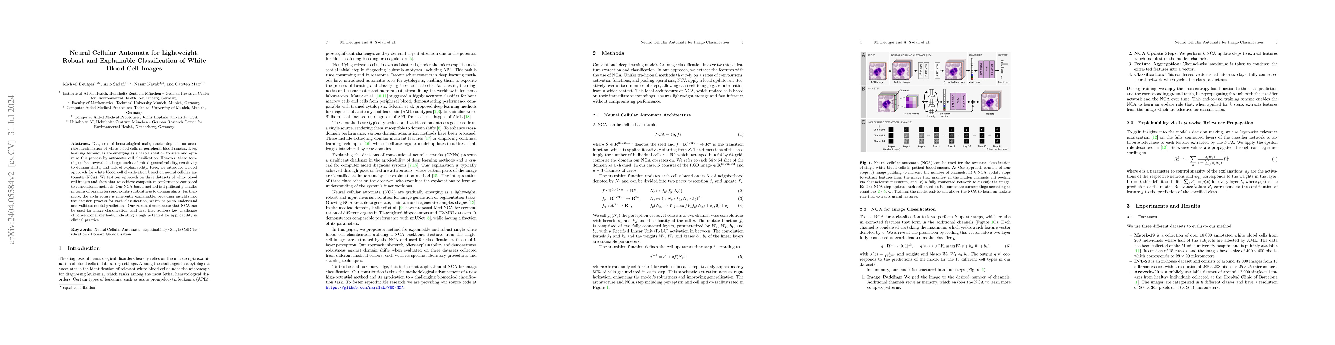 Thumbnail for Neural Cellular Automata for Lightweight, Robust and Explainable
  Classification of White Blood Cell Images