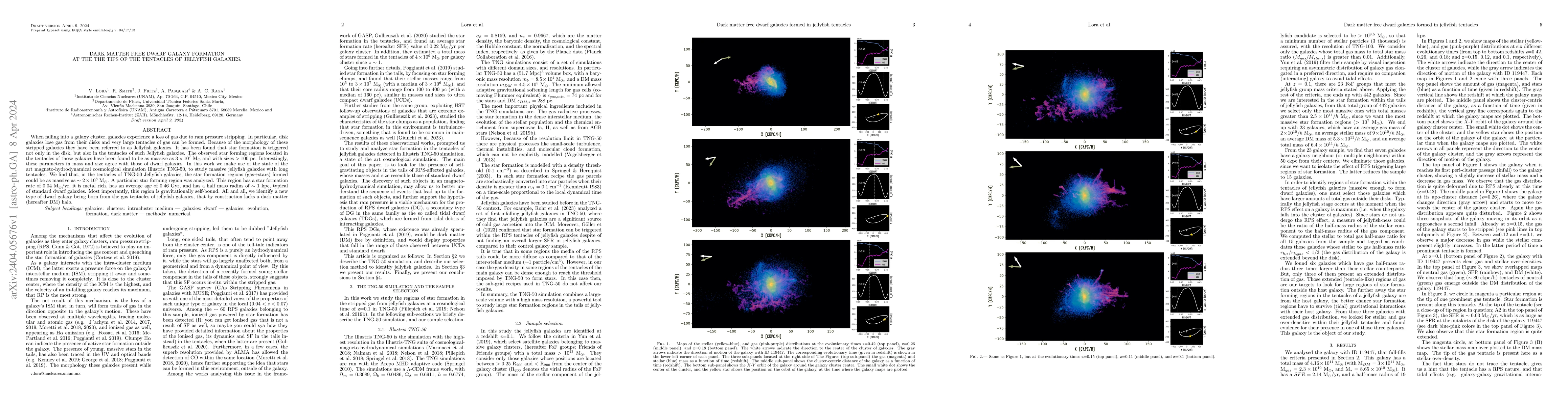 Thumbnail for Dark matter free dwarf galaxy formation at the the tips of the tentacles
  of jellyfish galaxies