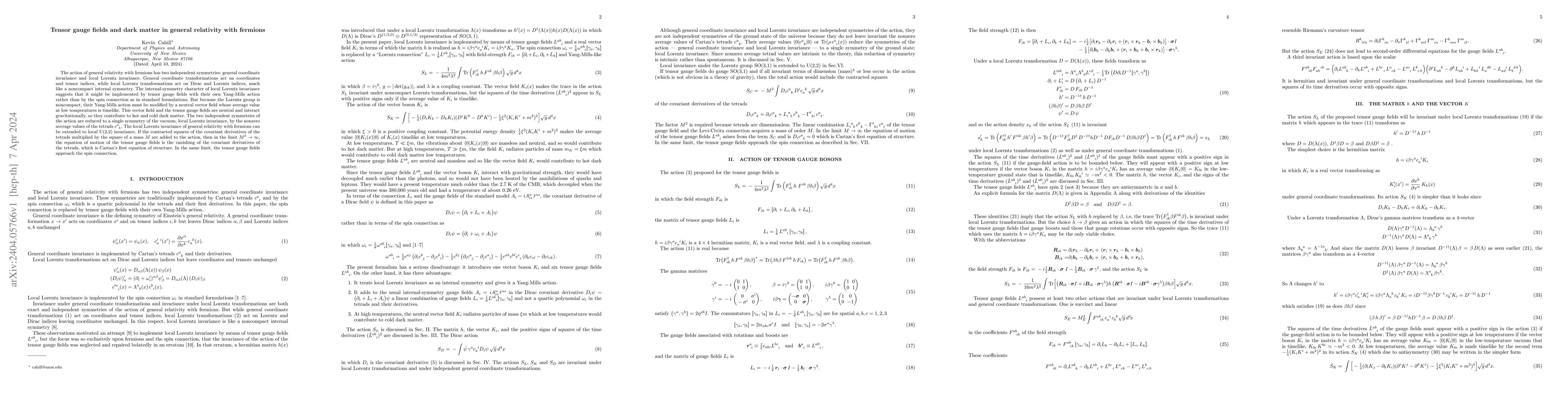 Thumbnail for Tensor gauge fields and dark matter in general relativity with fermions