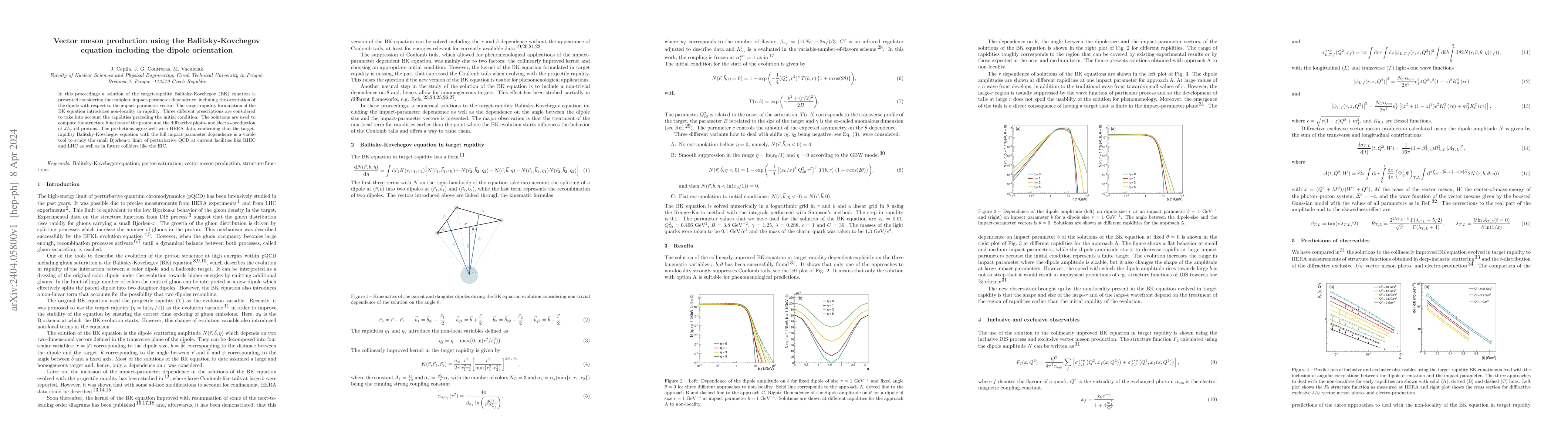 Thumbnail for Vector meson production using the Balitsky-Kovchegov equation including
  the dipole orientation