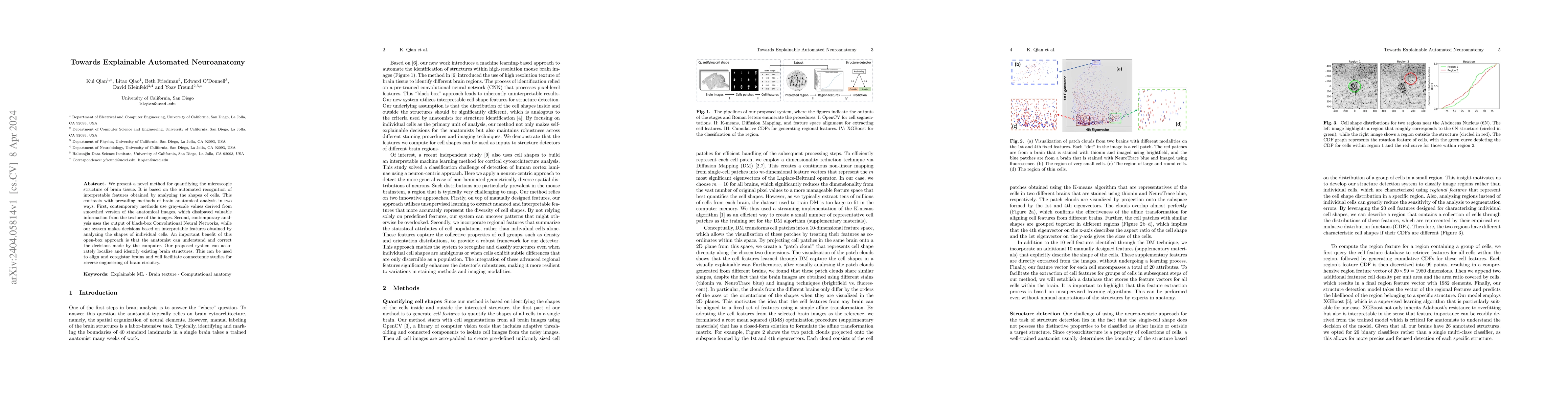 Thumbnail for Towards Explainable Automated Neuroanatomy